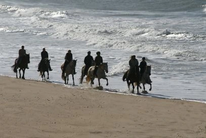 Gruppe von Reitern an andalusischen Sandstrand